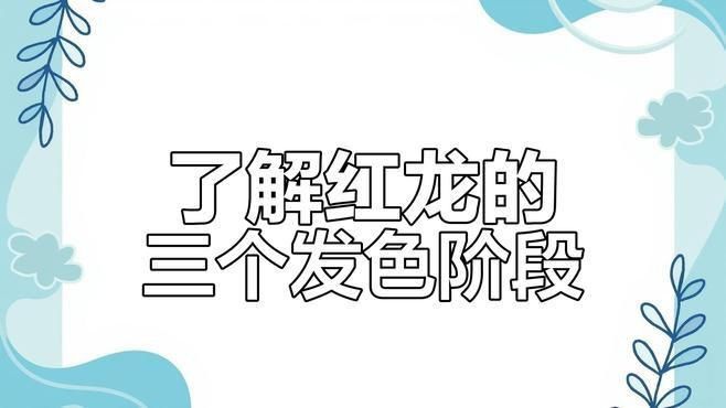 如何判斷紅龍是否進入發色期？