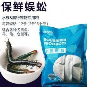 銀龍魚長期吃面包蟲好不好（銀龍魚長期吃面包蟲不是一個理想的選擇銀龍魚長期吃面包蟲）