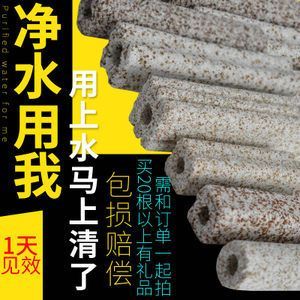 龍魚的過濾材料是什么：探究龍魚的過濾材料與水質管理