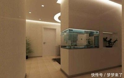 金龍魚缸擺放位置圖（金龍魚缸擺放風水禁忌,客廳魚缸招財布局技巧,魚缸高度風水講究解析）