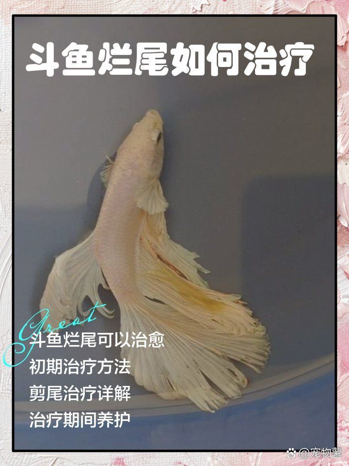 魚爛尾加鹽有用嗎