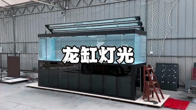 如何設置龍魚魚缸的光照？ 如何設置龍魚魚缸的光照？ 龍魚百科 第2張