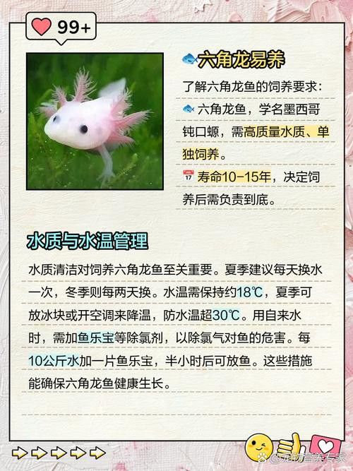 六角龍魚用純凈水養還是自來水