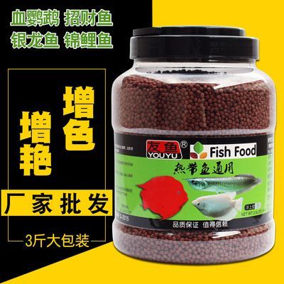 觀賞魚銀龍魚吃什么飼料好（銀龍魚吃什么最好銀龍魚吃什么飼料最好銀龍魚吃什么最好）