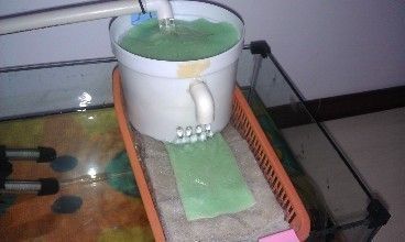 魚缸水變渾濁了怎么辦（如何正確使用絮凝劑凈化魚缸水）