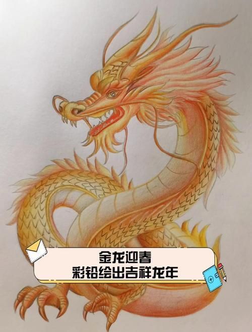 金龍發(fā)色順序圖