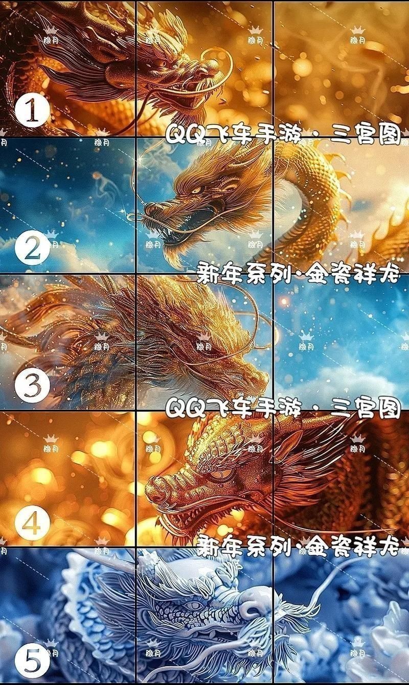 金龍發(fā)色順序圖