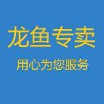 龍魚白便但是食欲很好：龍魚中國吧-百度貼吧