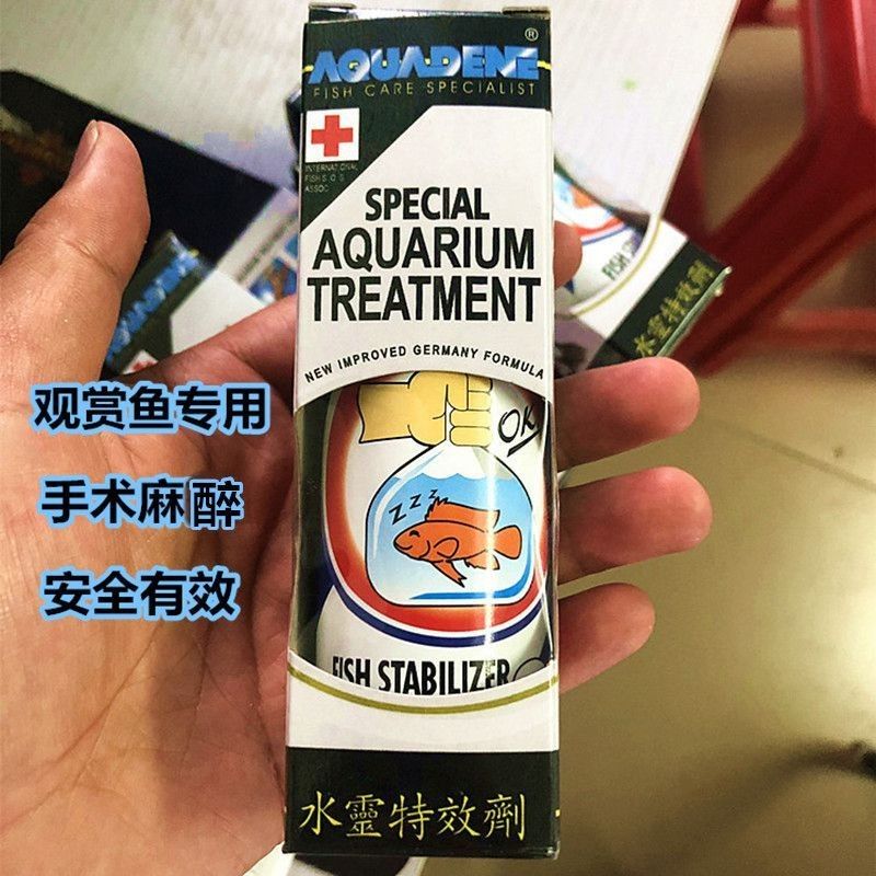 龍魚突然劇烈撞缸了會死嗎
