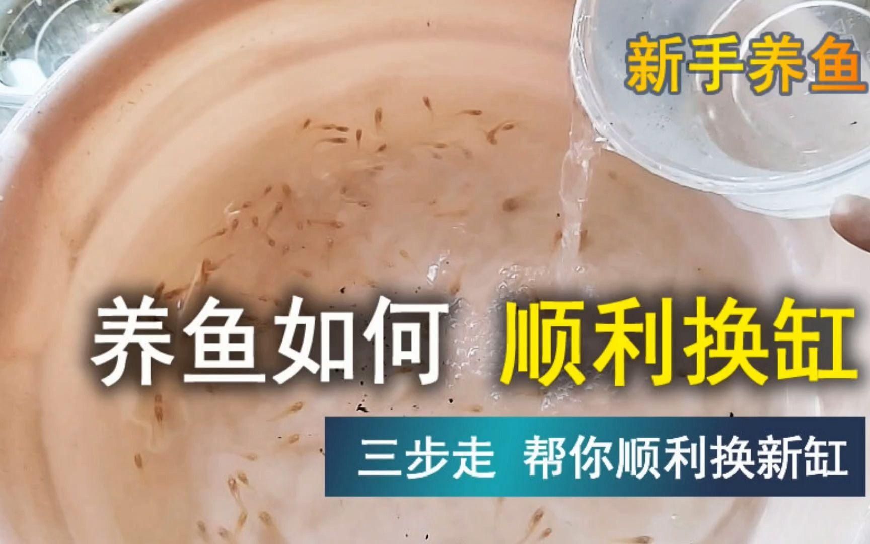金龍魚成年后還能換大缸嗎？