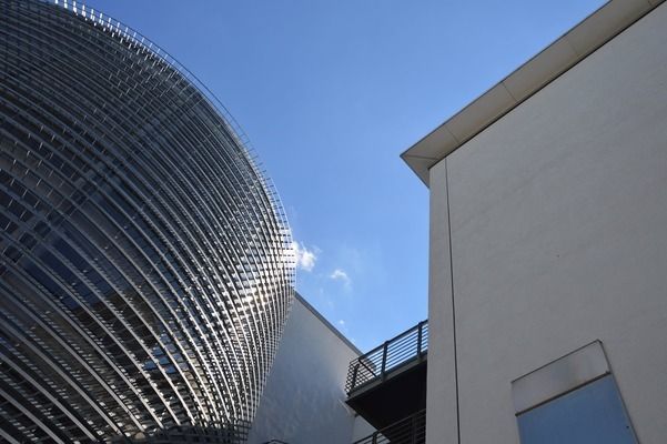 上海龍魚市場在哪個區，上海最大的龍魚市場