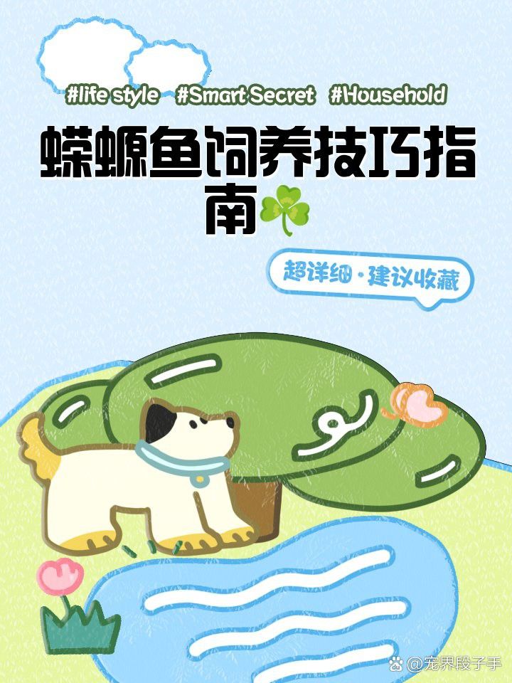 火龍魚(yú)蠑螈的最佳飼養(yǎng)溫度是多少？