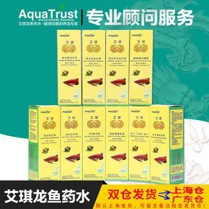 金龍魚蒙眼用什么藥最好使：金龍魚蒙眼怎么辦