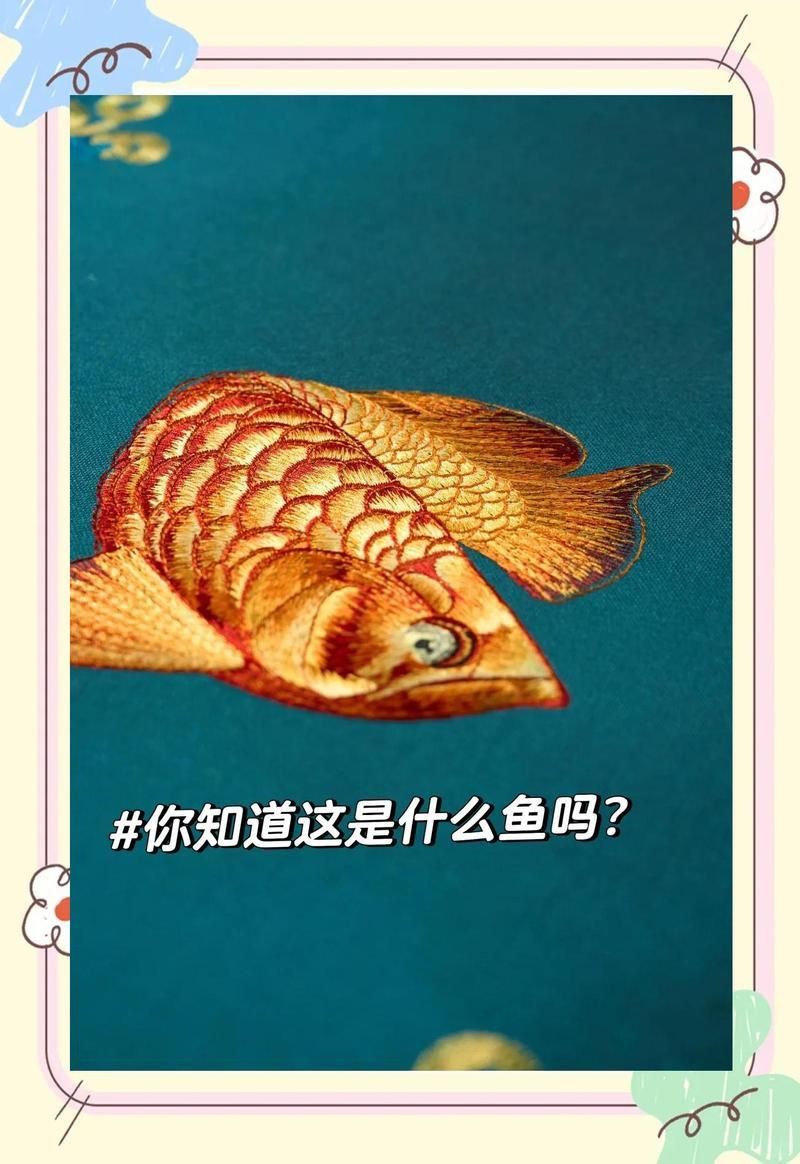 龍魚是吉兆還是兇兆