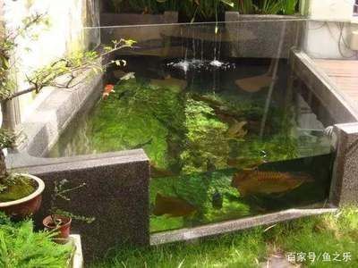 龍魚缸鋪石頭好嗎（石頭對(duì)龍魚健康的影響，魚缸造景石頭的選擇技巧）