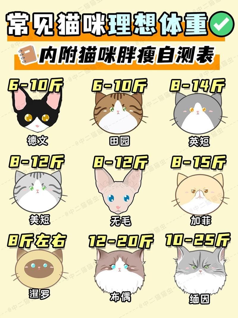 龍須貓的正常體重是多少？