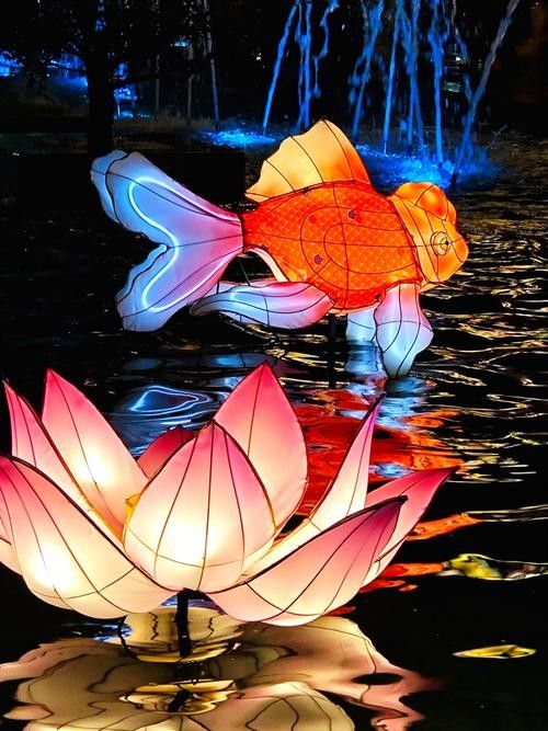 龍魚燈什么顏色好看圖片大全