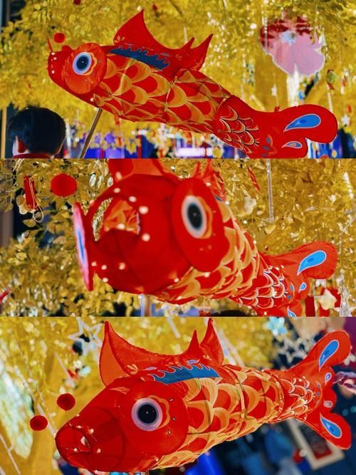 龍魚燈什么顏色好看圖片大全