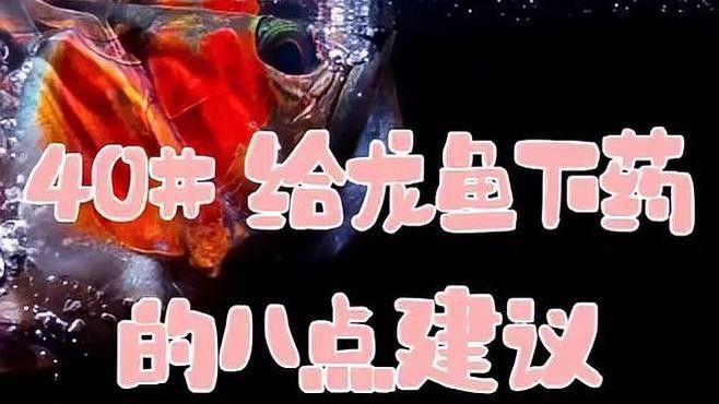 龍魚觀賞魚類有哪些