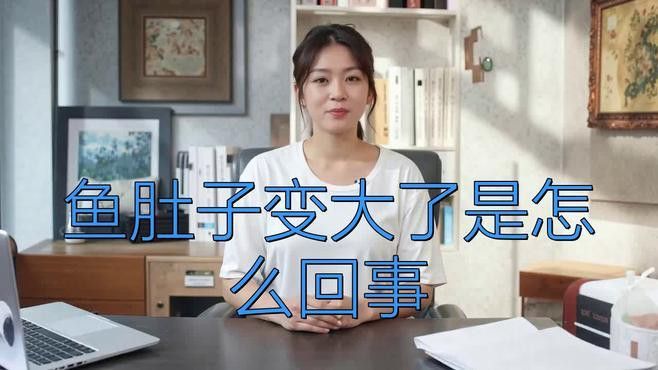 南美鰭龍魚肚子大怎么辦
