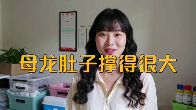 南美鰭龍魚肚子大怎么辦