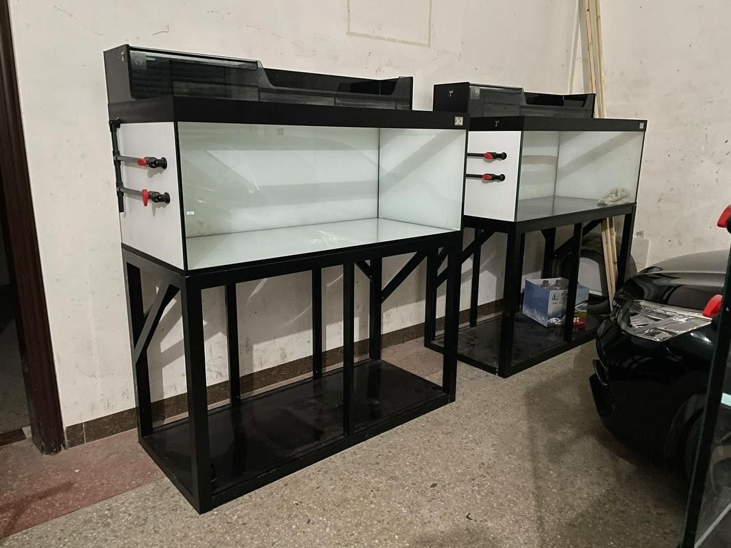 高陵龍魚專賣店