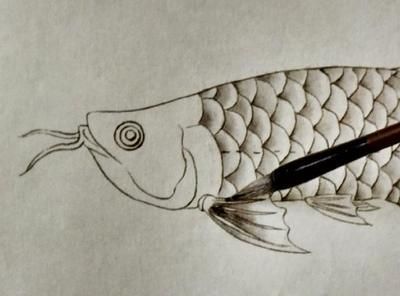 《劍網(wǎng)3》游戲中的“金龍魚(yú)”七秀是什么？：《劍俠情緣網(wǎng)絡(luò)版叁》“金龍魚(yú)”七秀成為玩家身份認(rèn)同