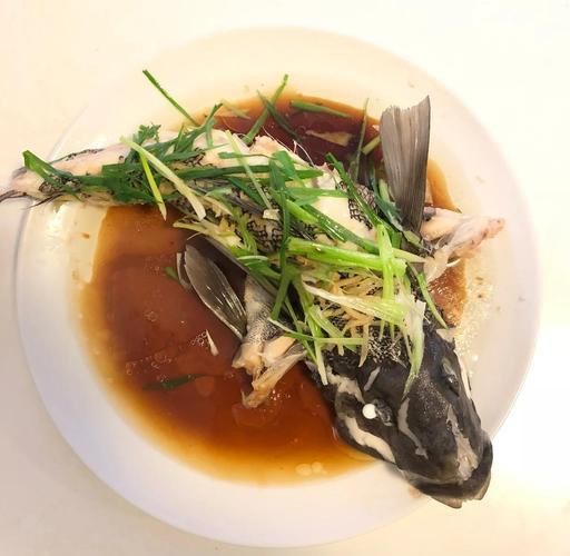 藍斑魚圖片