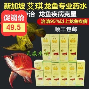 龍魚克星：飼養龍魚時，有一些注意事項可以幫助提高龍魚生存率