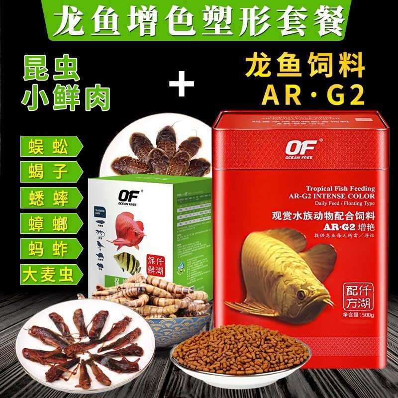 金龍魚吃螞蚱好嗎怎么喂養：金龍魚可以喂食螞蚱嗎怎么喂養金龍魚吃螞蚱好嗎