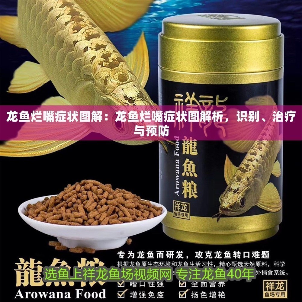 龍魚爛嘴癥狀圖解：龍魚爛嘴癥狀圖解析，識別、治療與預防