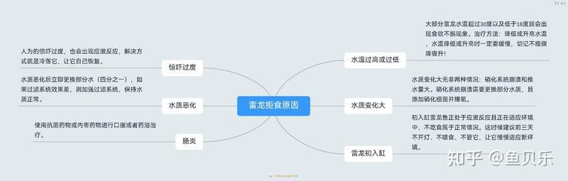 給我搜一下金龍魚的簡筆畫怎么畫：簡筆畫金龍魚的基本步驟和技巧