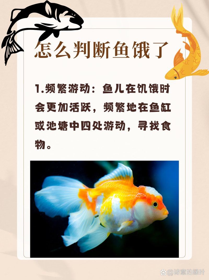 給我搜一下金龍魚的簡筆畫怎么畫：簡筆畫金龍魚的基本步驟和技巧