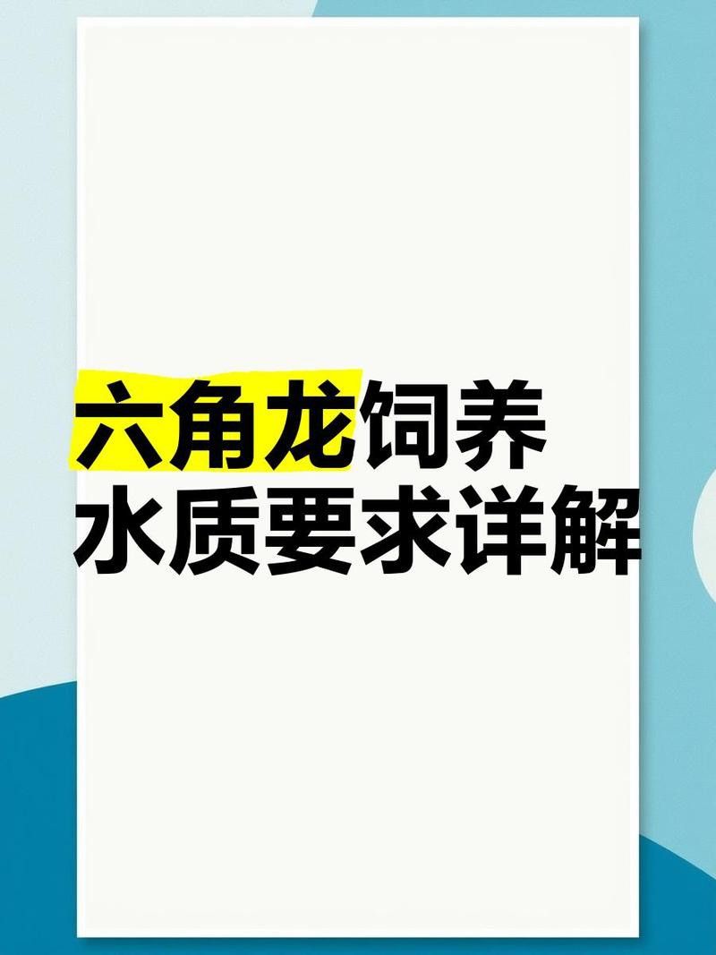 如何測試水質是否適合六角龍魚？