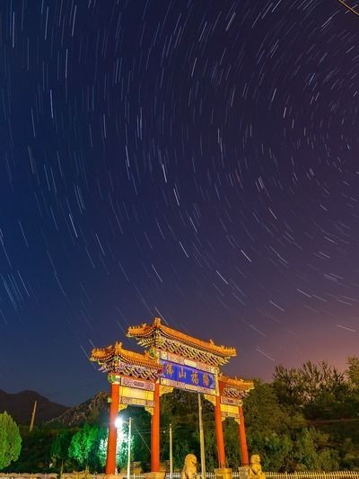 六角恐龍魚食物該怎么消毒呢：六角恐龍魚吃沉底飼養六角恐龍魚吃沉底飼料嗎 六角恐龍魚食物該怎么消毒呢：六角恐龍魚吃沉底飼養六角恐龍魚吃沉底飼料嗎 龍魚百科 第10張