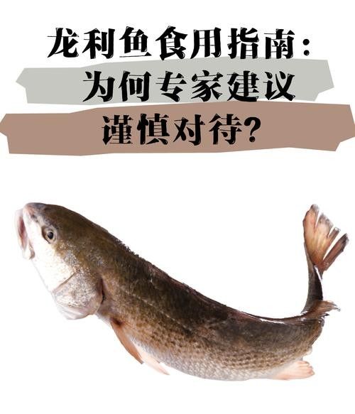 龍利魚和龍魚的區別圖片