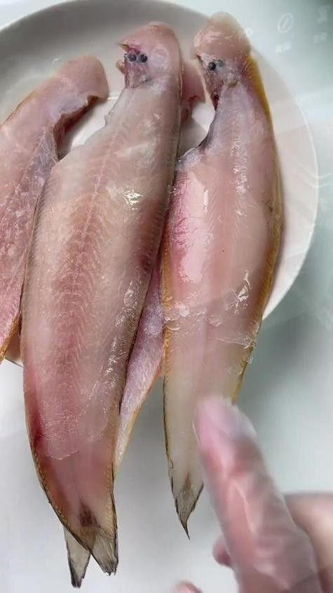 龍利魚和龍魚的區別圖片