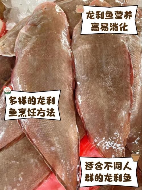 龍利魚和龍魚的區別圖片