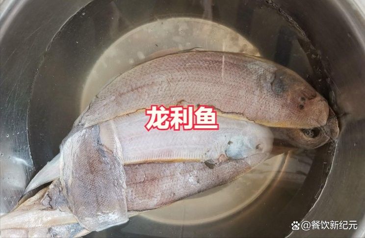 龍利魚和龍魚的區別圖片