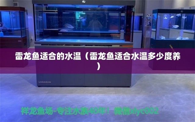 彩虹雷龍魚溫度多少合適，彩虹雷龍魚水質管理技巧彩虹雷龍魚水質管理技巧