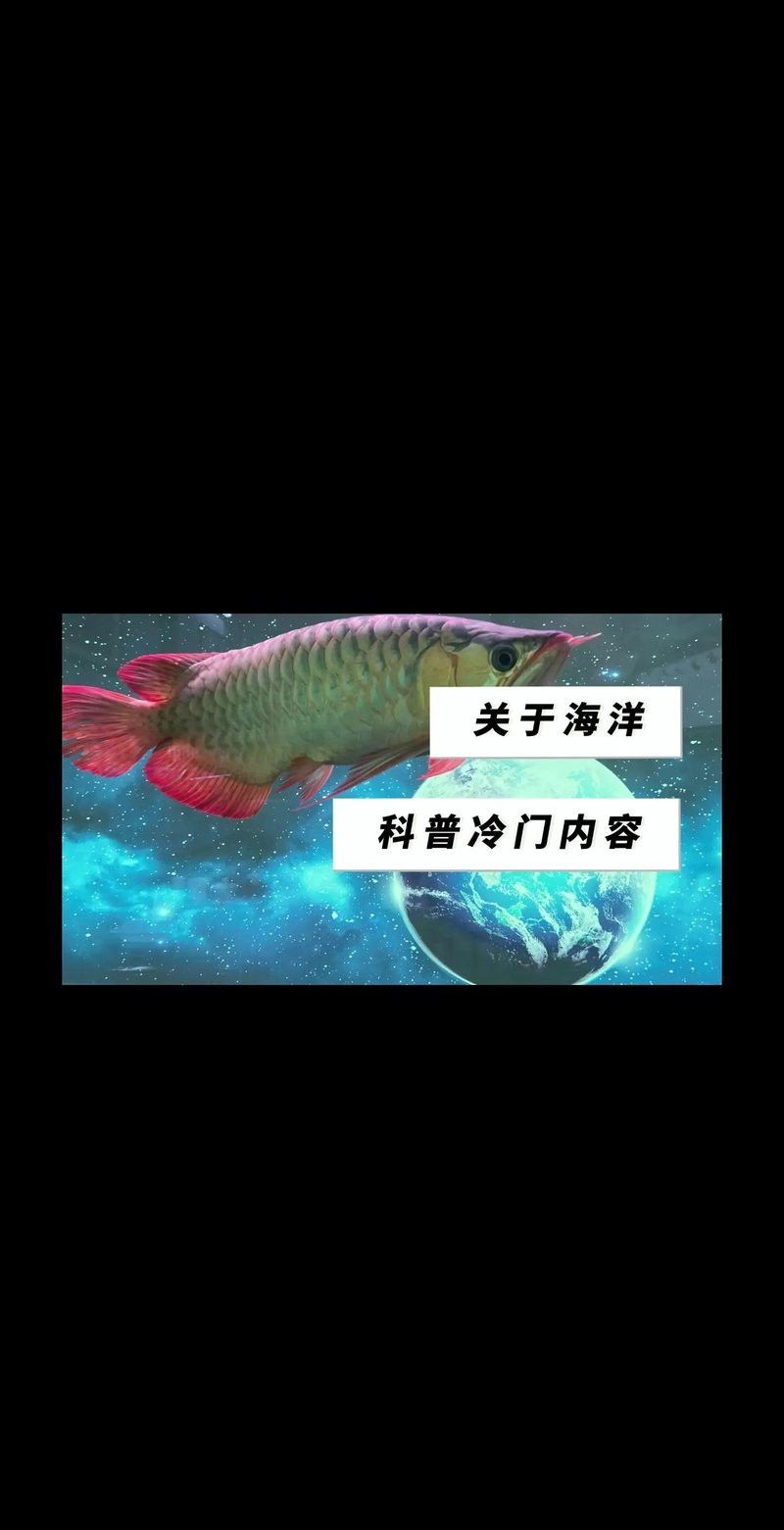 水龍魚(yú)是海里的嗎