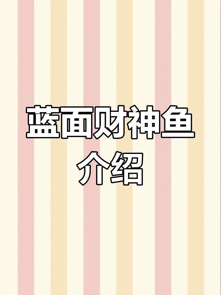 藍面財神魚是什么魚