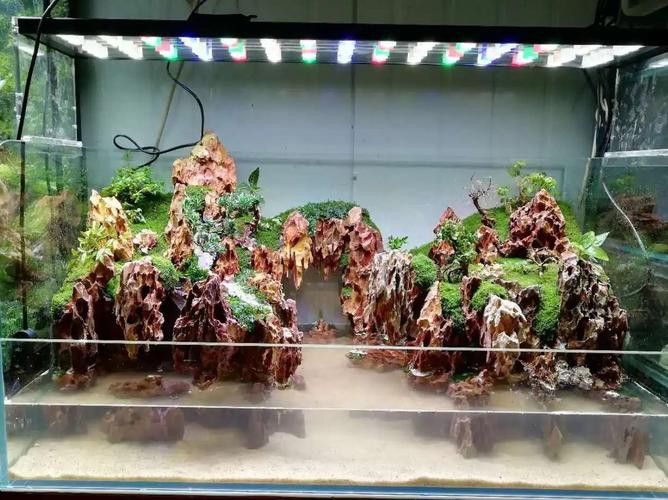大型龍魚缸造景效果圖片大全