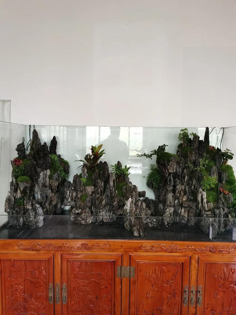 大型龍魚缸造景效果圖片大全