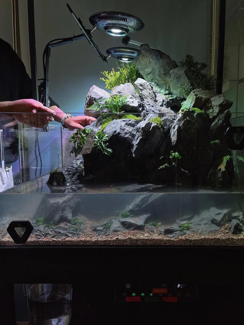 大型龍魚缸造景效果圖片大全