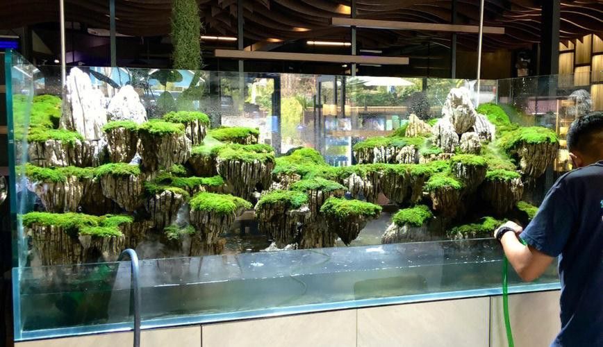 大型龍魚缸造景效果圖片大全