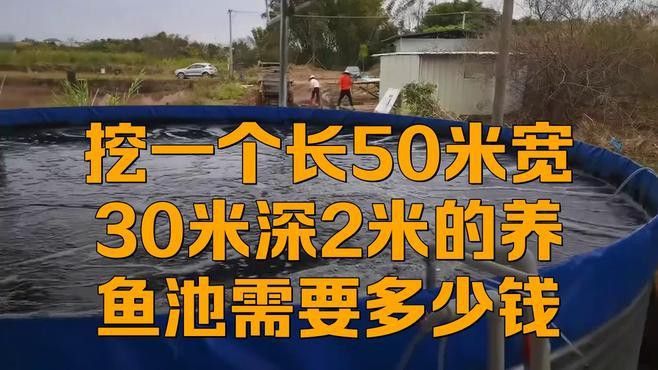 大型龍魚缸造景效果圖片大全