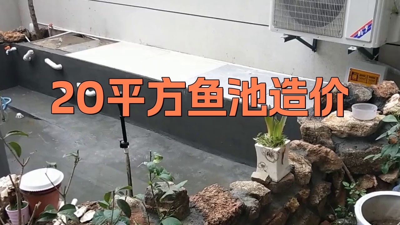 大型龍魚缸造景效果圖片大全