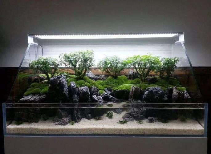 大型龍魚缸造景效果圖片大全