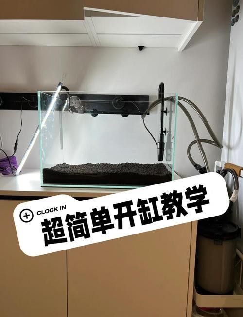 大型龍魚缸造景效果圖片大全